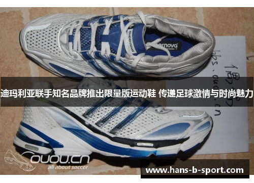 迪玛利亚联手知名品牌推出限量版运动鞋 传递足球激情与时尚魅力 迪玛利亚联手知名品牌推出限量版运动鞋 传递足球激情与时尚魅力