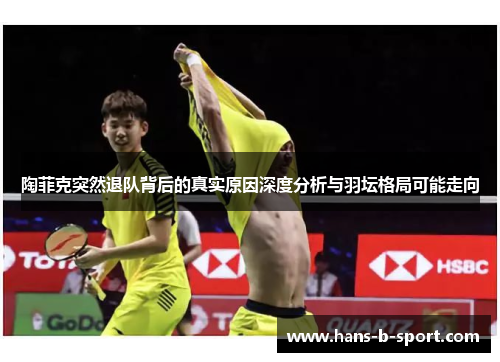 陶菲克突然退队背后的真实原因深度分析与羽坛格局可能走向 陶菲克突然退队背后的真实原因深度分析与羽坛格局可能走向