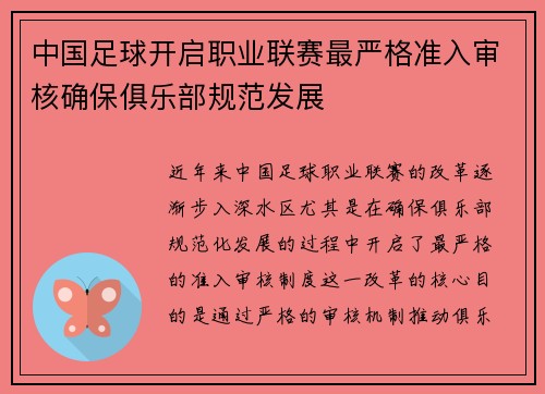 中国足球开启职业联赛最严格准入审核确保俱乐部规范发展 中国足球开启职业联赛最严格准入审核确保俱乐部规范发展